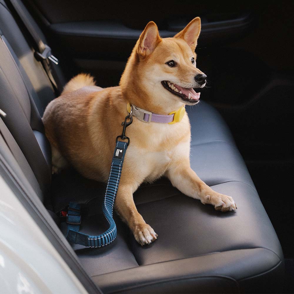 Buffer Adjustable Cool Dog Accessories Car Seat Belt