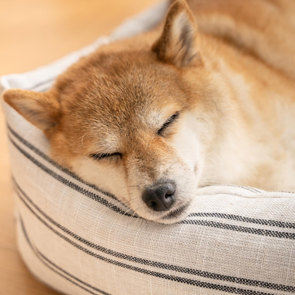 Classic Stripe All Seasons Breathable Dog Bed